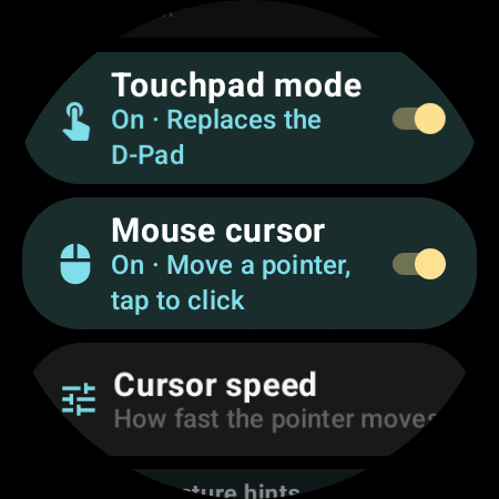 Mouse cursor enabled with a Cursor speed setting on the watch